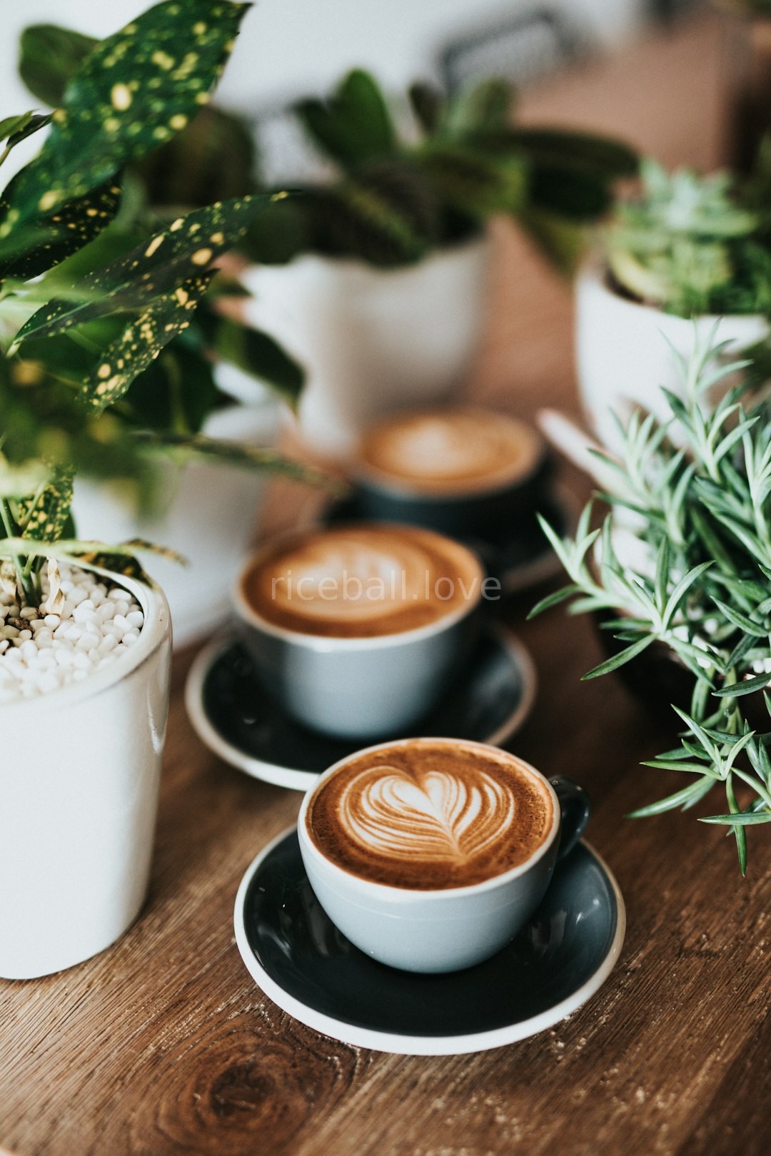Cafe Atmosphere
